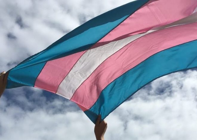 Segundo relatório, São Paulo é o estado que mais contrata pessoas trans