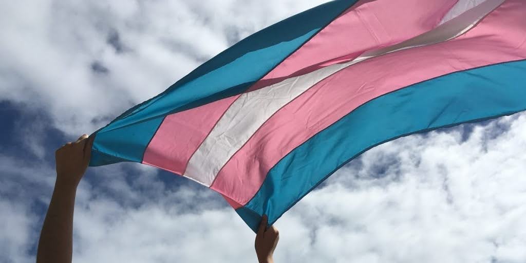 Segundo relatório, São Paulo é o estado que mais contrata pessoas trans