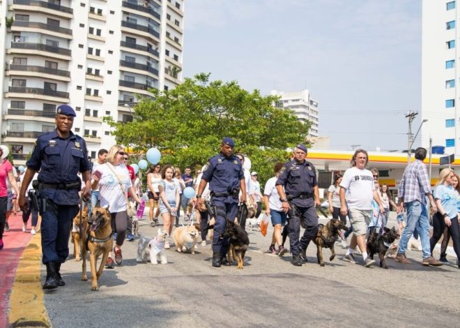 5ª Cãominhada da Vila Prudente terá avaliação veterinária gratuita, vacinação acessível para pets e adoção de animais