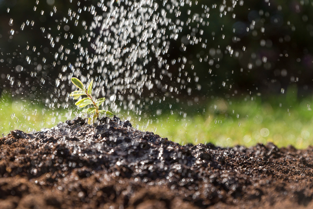 Fertilizantes: a chave para uma agricultura de excelência segundo Cauê Lopes Martins